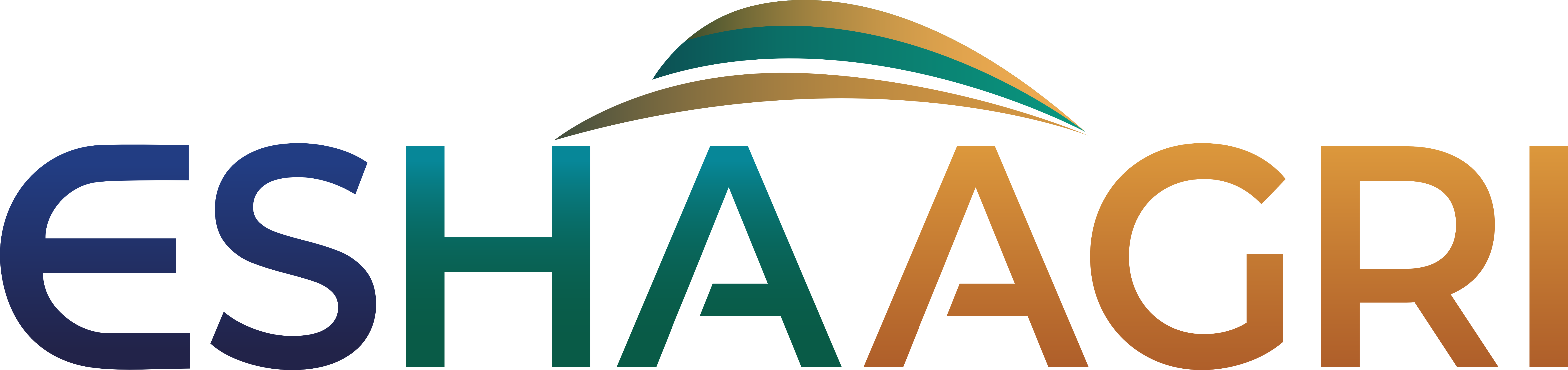 Logo Website